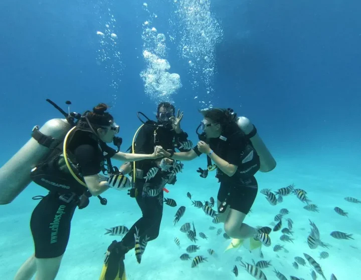 Nurkowanie Hurghada – nurek pod wodą na rafie Morza Czerwonego