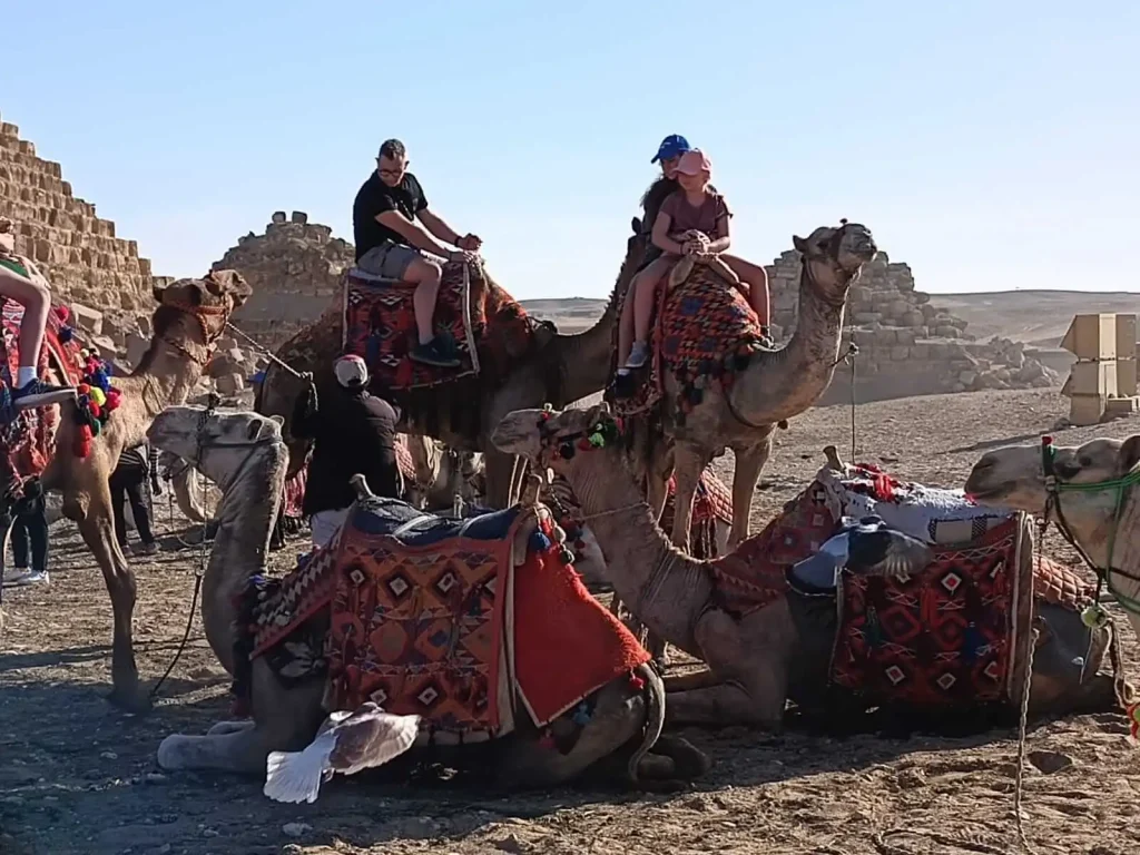 Przejażdżka na wielbłądach w Gizie – Kair z Hurghady.