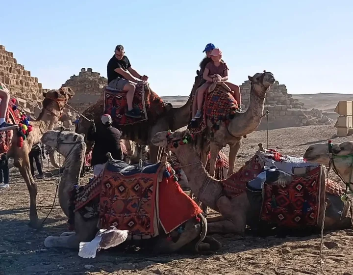 Przejażdżka na wielbłądach w Gizie – Kair z Hurghady.
