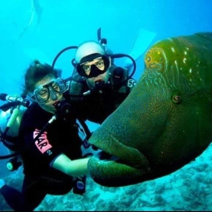 sharm el sheikh piramidy