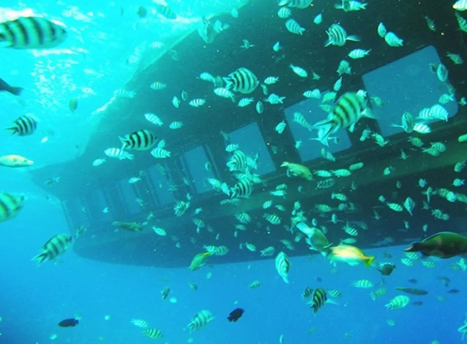 łódź ze szklanym dnem hurghada