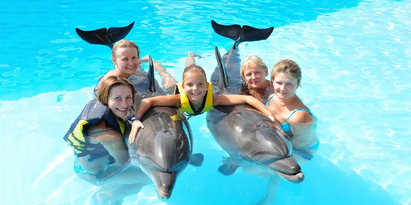 Delfinarium Hurghada pokaz delfinów