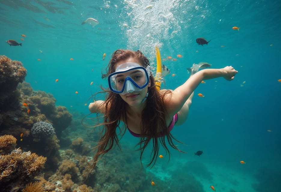 Snurkowanie w Sharm el Sheikh – rafy i przejrzysta woda