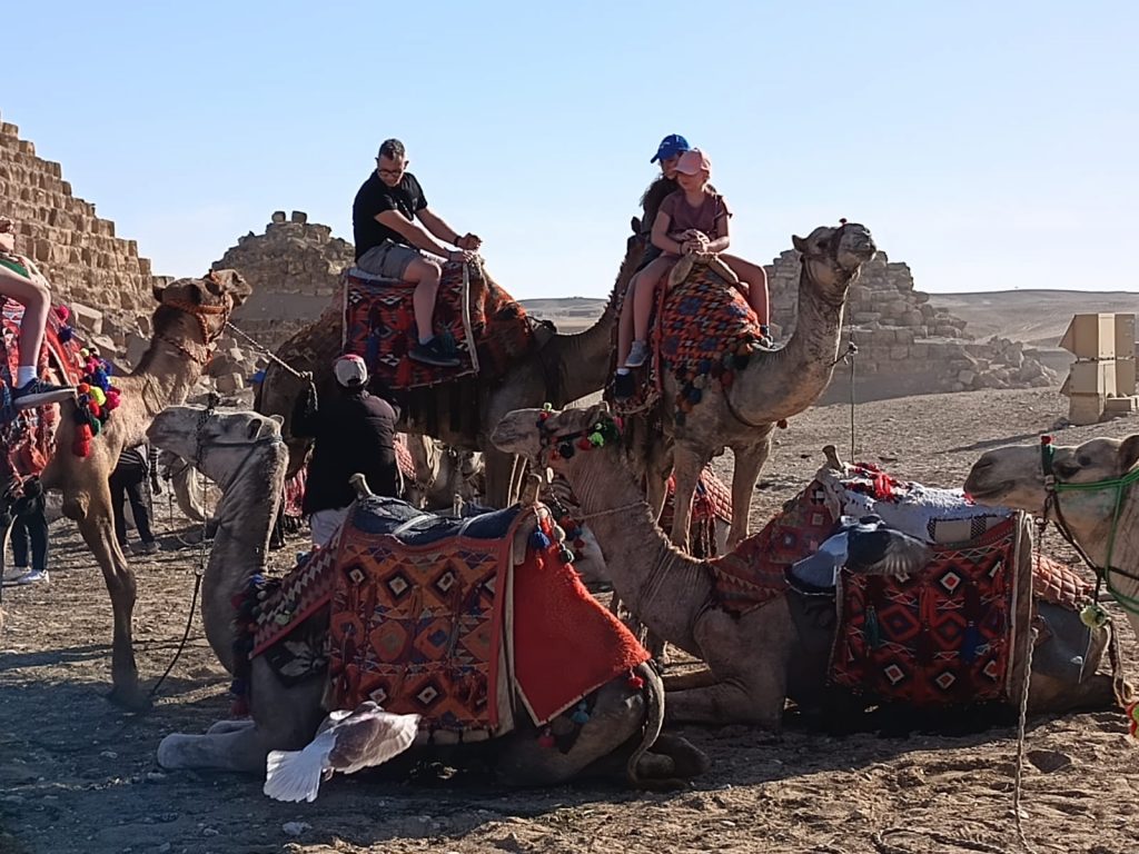 wycieczka z Sharm el Sheikh do Kairu – piramidy w Gizie i Wielkie Muzeum Egipskie GEM