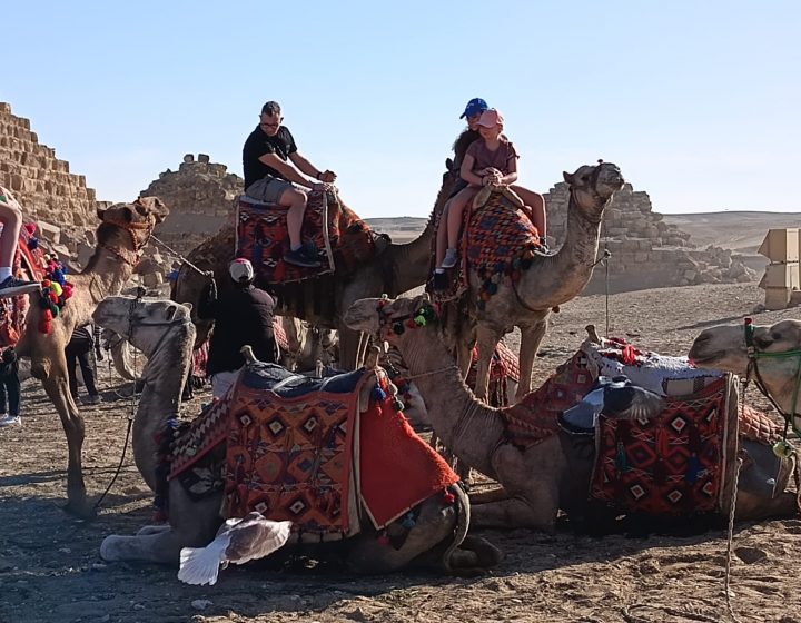 wycieczka z Sharm el Sheikh do Kairu – piramidy w Gizie i Wielkie Muzeum Egipskie GEM