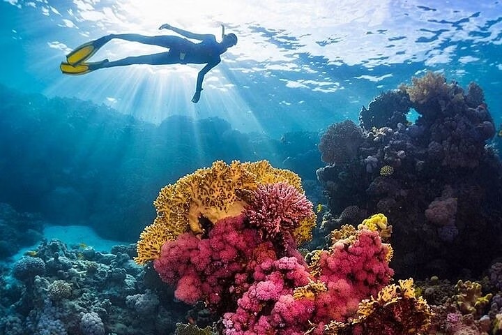 Nurkowanie z butlą (intro diving) w Sharm el Sheikh – Ras Mohamed