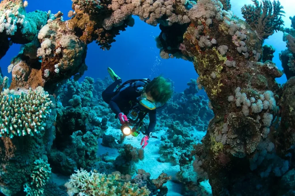 Nurkowanie dla początkujących w Marsa Alam z instruktorem