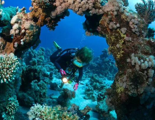 Nurkowanie dla początkujących w Marsa Alam z instruktorem