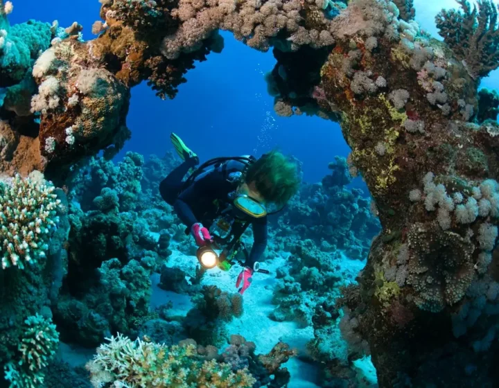 Nurkowanie dla początkujących w Marsa Alam z instruktorem