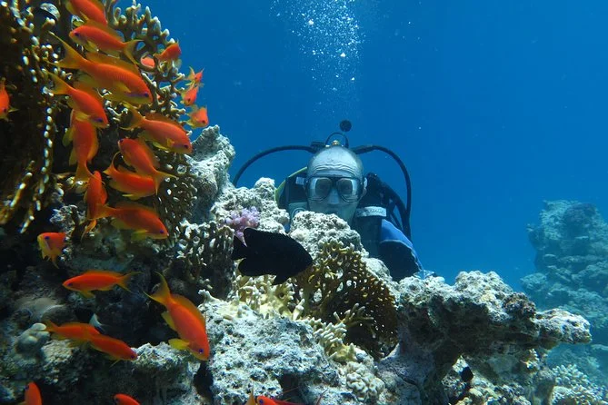 kurs padi advanced open water diver w marsa alam
