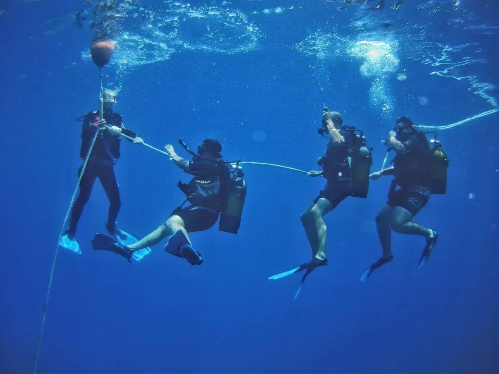 nurkowanie z plaży Marsa Alam