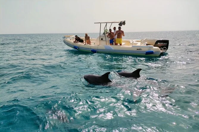 Dolphin House Hurghada