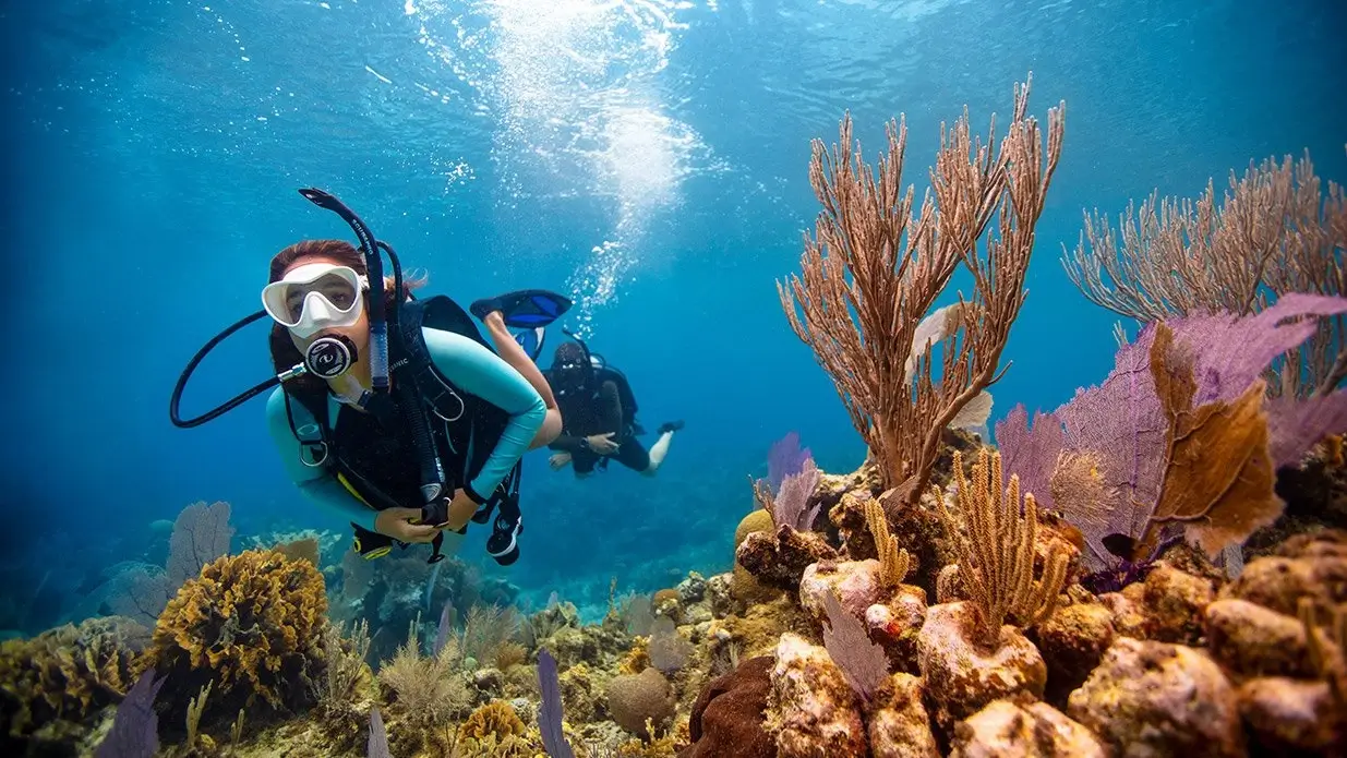 5 nurkowań AOWD Marsa Alam
