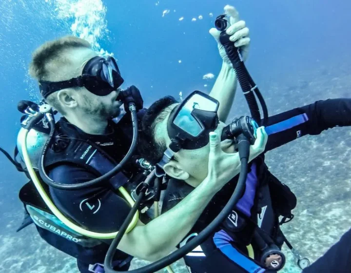 kurs padi rescue diver w marsa alam