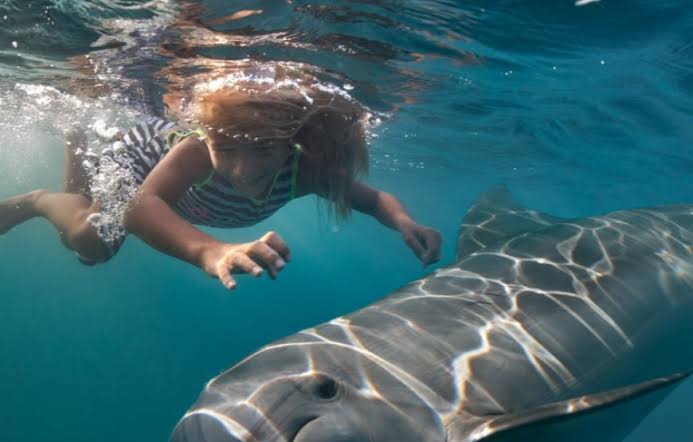 Dolphin House Hurghada