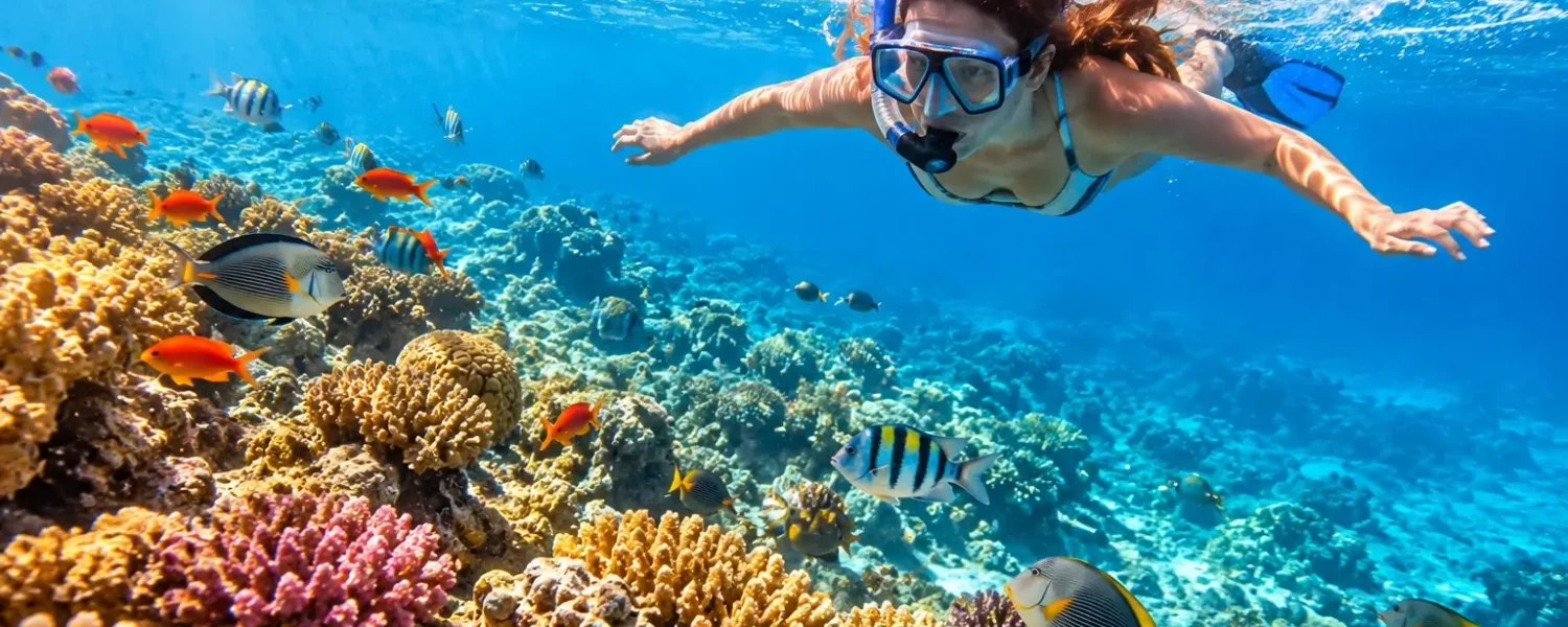 Snorkeling nad rafą koralową w Egipcie - snorkeling w Egipcie