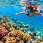 Snorkeling nad rafą koralową w Egipcie - snorkeling w Egipcie