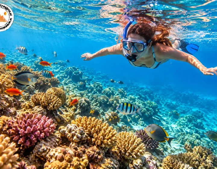 Snorkeling nad rafą koralową w Egipcie - snorkeling w Egipcie
